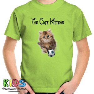 Kaos The Cute Kittens