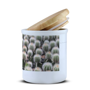Toples Bumbu Toples bumbu, Cactus cover