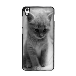 Softcase Oppo A3S  / A5 / RealMe C1 Cat Casing HP