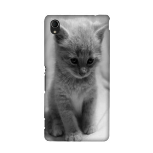 Softcase Oppo A3S  / A5 / RealMe C1 Cat Casing HP