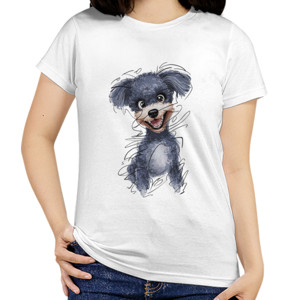 Kaos Grey Poodle