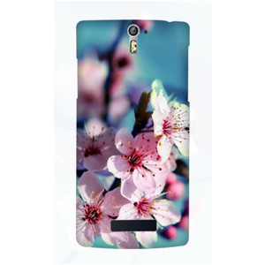 Cheery Blossoms Casing HP