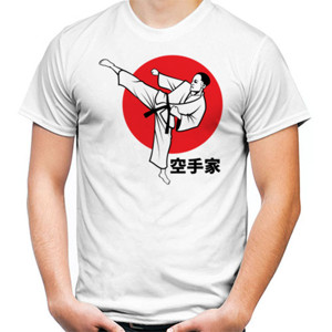 Kaos Karateka