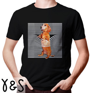 Kaos dashshund dog