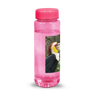 Botol HORNBILL 