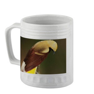 Mug Lesser Bird of Paradise