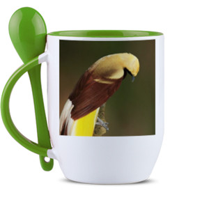 Mug Sendok Lesser Bird of Paradise