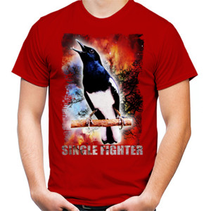 Kaos Burung Kacer