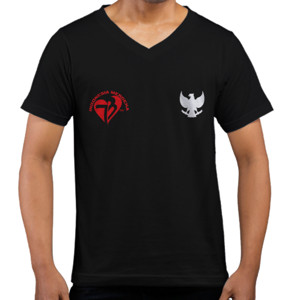 Kaos  73 tahun Indonesia Merdeka