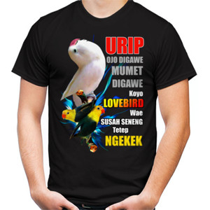 Kaos Lovebird