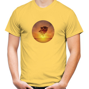 Kaos Pohon