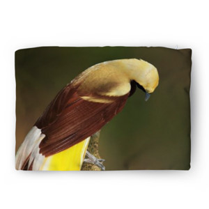 Sarung Bantal Lesser Bird of Paradise
