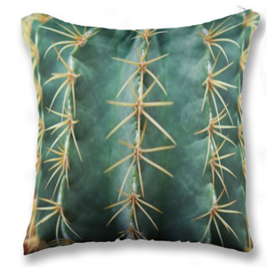 Bantal Cactus