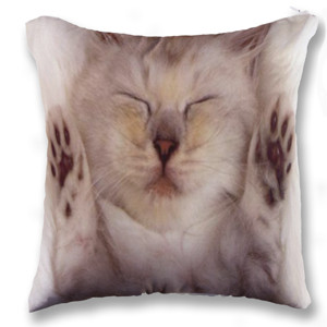 Bantal Sarung Bantal Sofa lucu