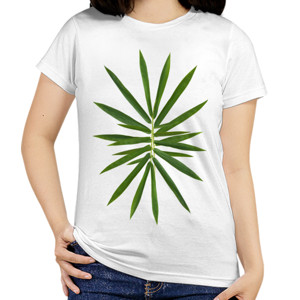 Kaos Bamboo