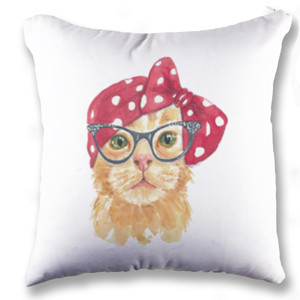 Bantal Cat-27