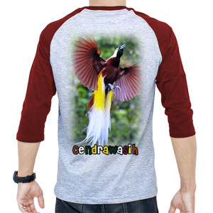 Kaos Raglan Cendrawasih