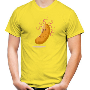 Kaos Absurd