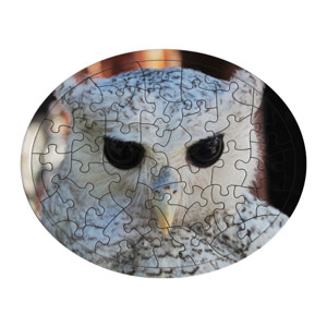 Puzzle White Owl