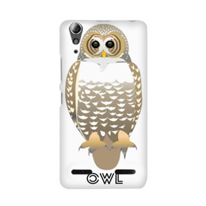 OWL Casing HP