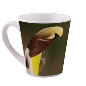Mug Lesser Bird of Paradise