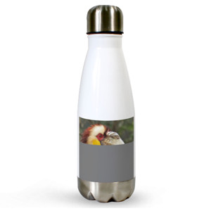 Botol Termos HORNBILL 