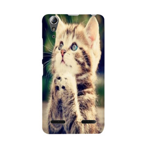 Cat Pray Case Casing HP