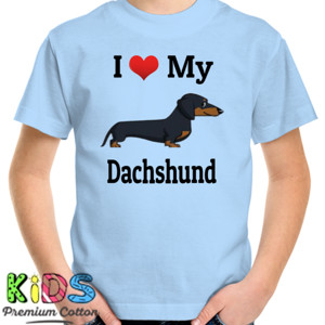 Kaos Dachshund 