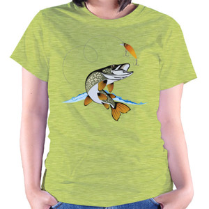 Kaos Fisher 1  
