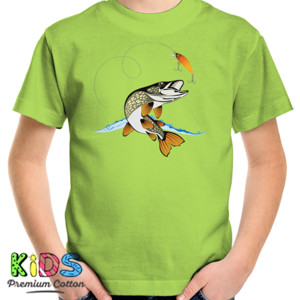 Kaos Fisher 1  