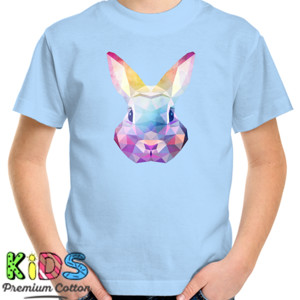 Kaos Kelinci Rainbow