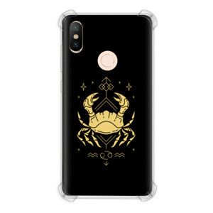 Casing HP Golden Cancer Casing