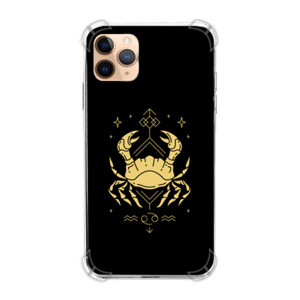 Casing HP Golden Cancer Casing