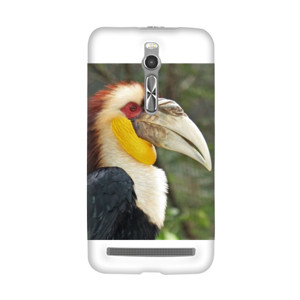 HORNBILL  Casing HP
