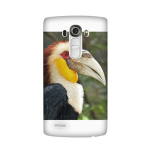 HORNBILL  Casing HP