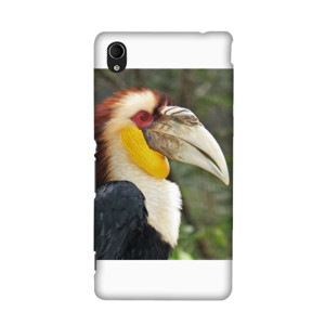HORNBILL  Casing HP