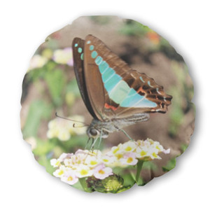 Bantal Bulat Blue-Brown Butterfly