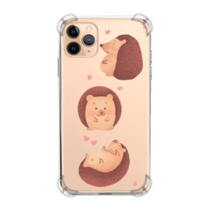 Casing HP - Hedgehog