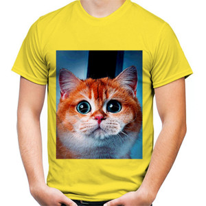 Kaos Kucing Mata Gundu