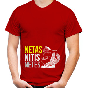 Kaos NETAS NITIS NETAS