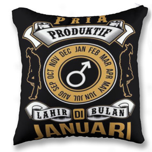 Bantal Bantal Sofa Januari