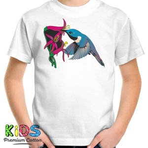 Kaos kolibri