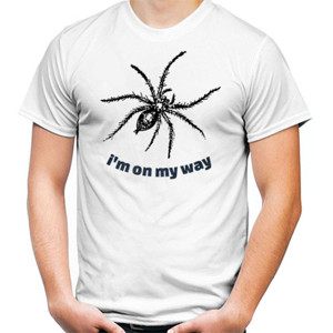 Kaos spider