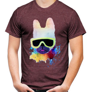 Kaos Kaos heybro dog