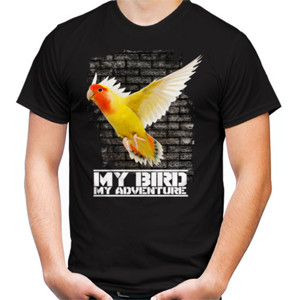 Kaos Lovebird