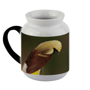 Mug Bunglon Lesser Bird of Paradise