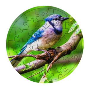 Puzzle Burung