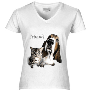 Kaos Cat and Dog