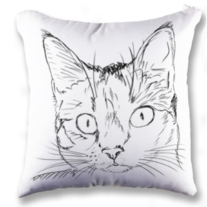 Bantal Cat-22