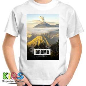 Kaos Bromo 2329 mdpl